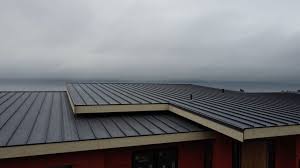 Best Steel Roofing  in Dakota City, NE